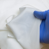 CLEANROOM Polyester Doekjes 20x20cm-2