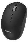 Souris d