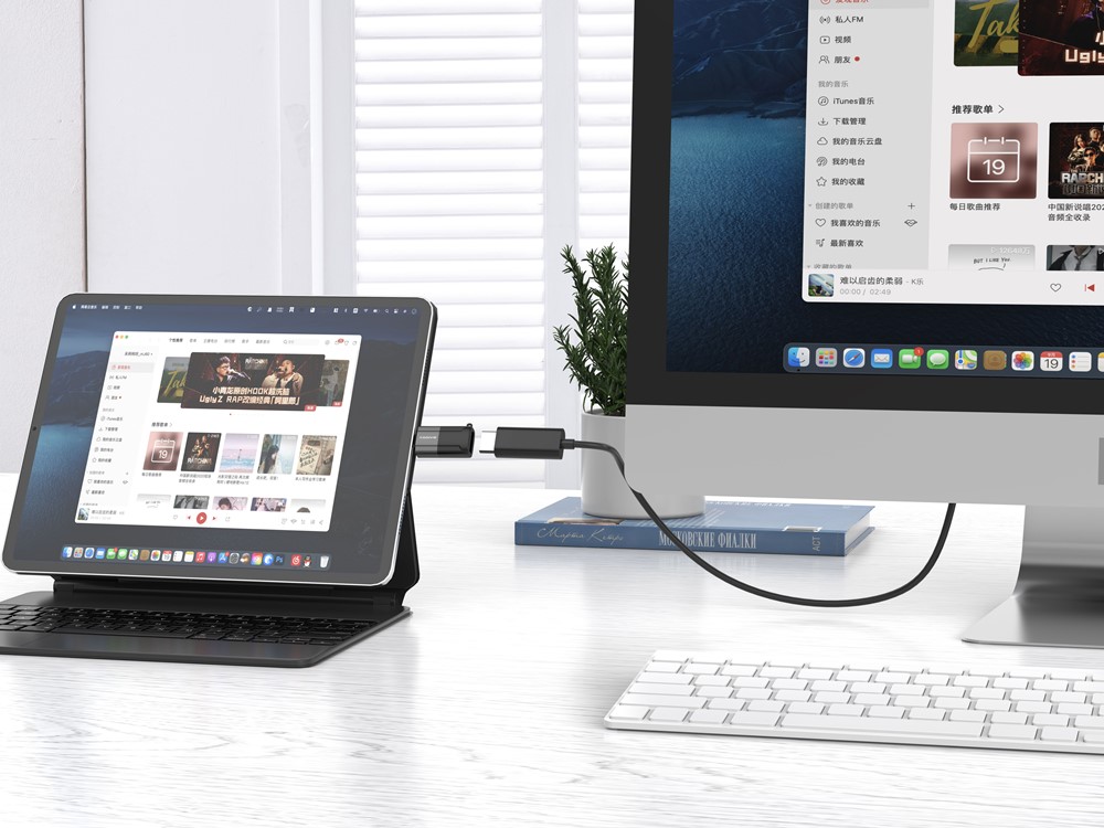 Xssive USB-C to HDMI Adapter XSS-C HDMI-2